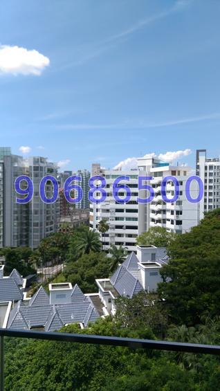 Three Three Robin (D10), Apartment #73163962